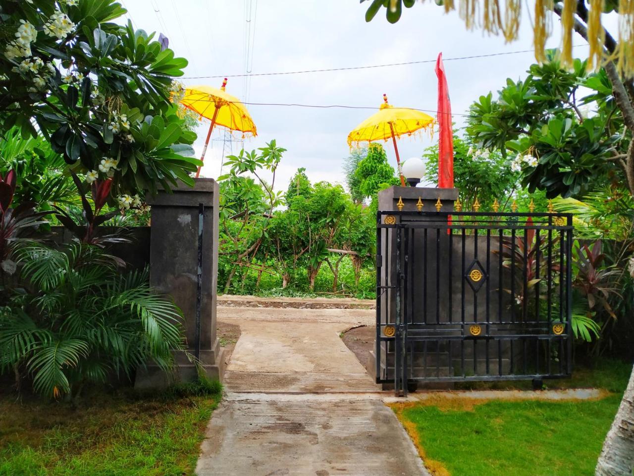 Angga Guest House Pemuteran  Ngoại thất bức ảnh