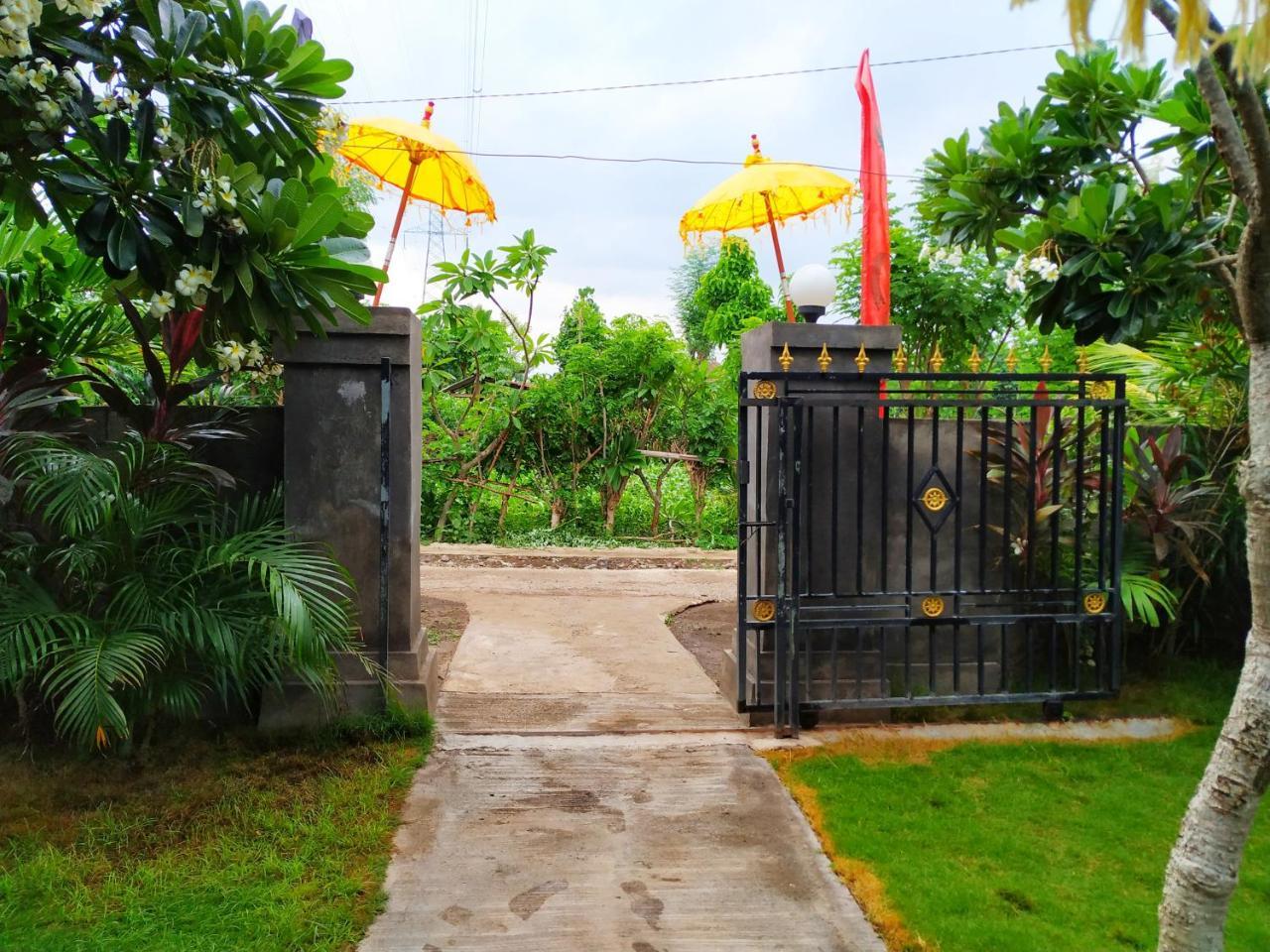Angga Guest House Pemuteran  Ngoại thất bức ảnh